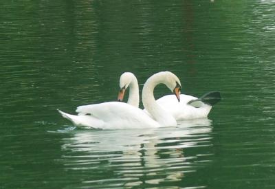 Прикрепленное изображение: 001a1a.jpg